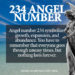 234 angel number