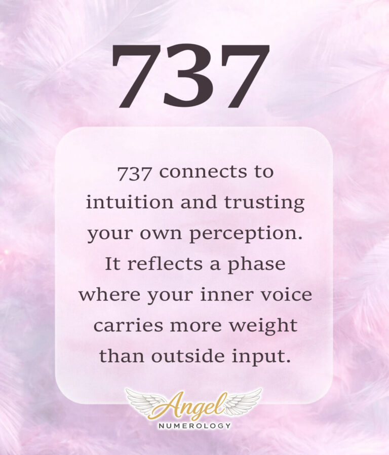 737 angel number