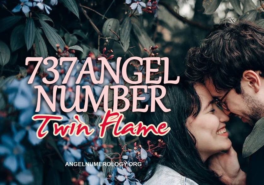 737 angel number twin flame