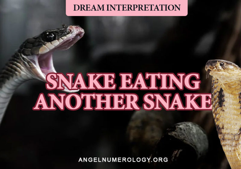 Dream About A Snake Eating Another Snake Spiritual & Biblical Meaning