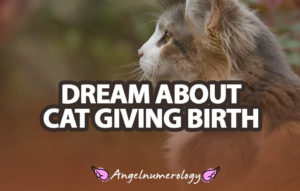 dream about cat giving birth