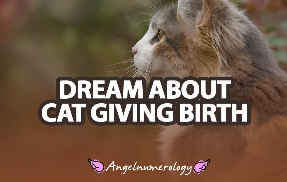Dream About Cat Giving Birth – Spiritual Hidden Meaning And Symbolism