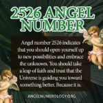 313 Angel Number Twin Flame And Love Meaning (A Sign of Surprises)