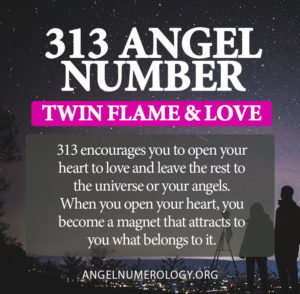 313 angel number twin flame