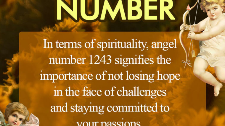 1243 angel number