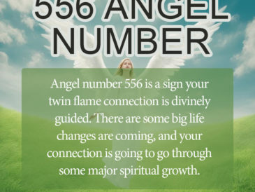 556 angel number